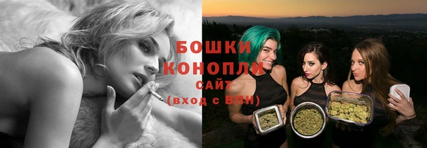 крисы Лагань