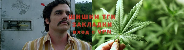 молекула духа Ладушкин