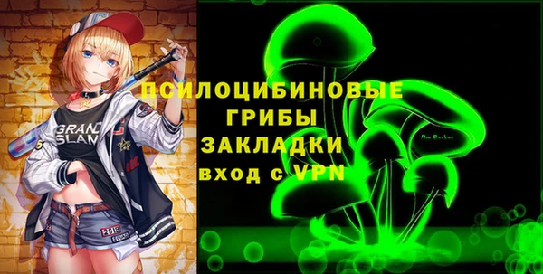 крисы Лагань