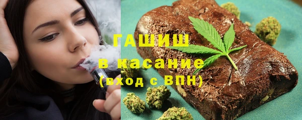 молекула духа Ладушкин