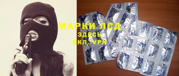 крисы Лагань
